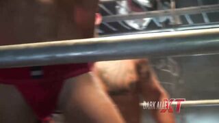 Fistenberg Returns (2016)