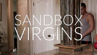 Sandbox Virgins (Andy Banks, Darin Silvers)